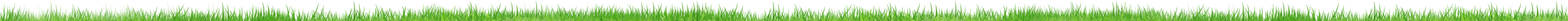 decoration grass